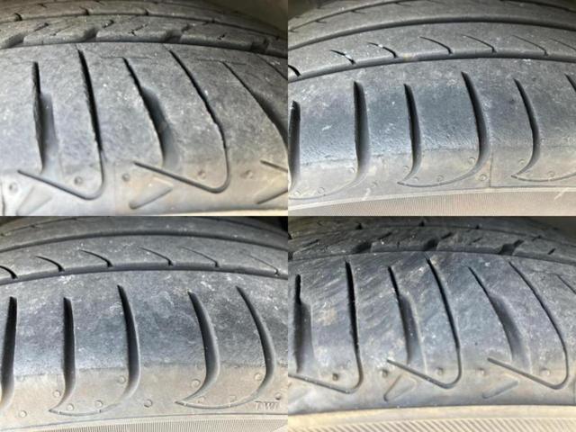 �u���̎Ԃ̎ʐ^�������ƌ������v�u��Ԃ��C�ɂȂ�v�u���̑����͂��Ă���H�v�ǂ�ȏ����ȋ^��ł����C�y�ɂ��₢���킹���������I