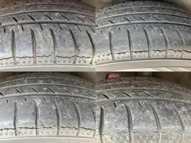 �u���̎Ԃ̎ʐ^�������ƌ������v�u��Ԃ��C�ɂȂ�v�u���̑����͂��Ă���H�v�ǂ�ȏ����ȋ^��ł����C�y�ɂ��₢���킹���������I