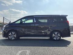 �ףţã��ңӤκ߸˥ڡ������������������ˤ��꤬�Ȥ��������ޤ����ףţã��ңӤϡ֤��������פ��åȡ��ˤ����ͤΥ����饤�դ����Ϥǥ��ݡ��Ȥ������ޤ��� 2