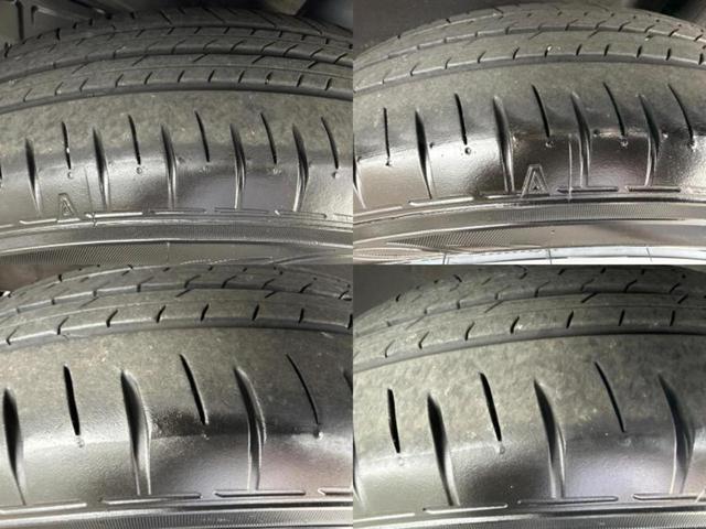 �u���̎Ԃ̎ʐ^�������ƌ������v�u��Ԃ��C�ɂȂ�v�u���̑����͂��Ă���H�v�ǂ�ȏ����ȋ^��ł����C�y�ɂ��₢���킹���������I