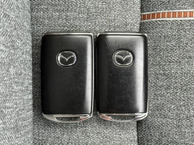 ＭＸ－３０ ヒョウジュン　ＢＯＳＥ／保証書／純正　ＳＤナビ／衝突安全装置／シートヒーター　前席／３６０°ビューモニター／車線逸脱防止支援システム／シート　ハーフレザー／ドライブレコーダー　前後／ヘッドランプ　ＬＥＤ　電動シート（35枚目）