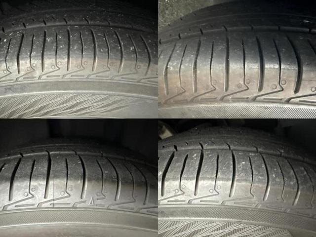 �u���̎Ԃ̎ʐ^�������ƌ������v�u��Ԃ��C�ɂȂ�v�u���̑����͂��Ă���H�v�ǂ�ȏ����ȋ^��ł����C�y�ɂ��₢���킹���������I