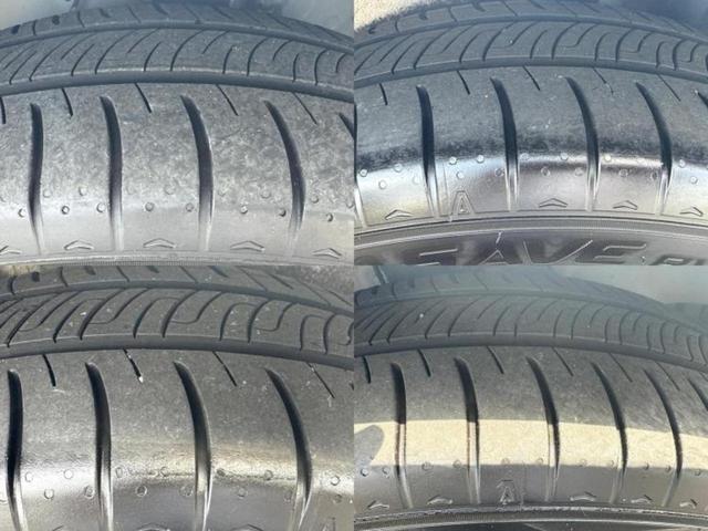 �u���̎Ԃ̎ʐ^�������ƌ������v�u��Ԃ��C�ɂȂ�v�u���̑����͂��Ă���H�v�ǂ�ȏ����ȋ^��ł����C�y�ɂ��₢���킹���������I