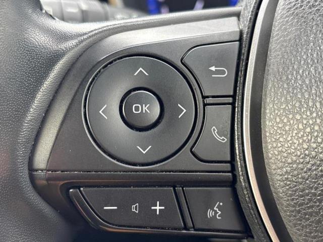 �v�d�b�`�q�r�̓W����ł͎��ۂɌ��āA�G���Ă��Ԃ����I�т��������܂��I�m���̖L�x�ȉc�ƃX�^�b�t���l�X�ȃJ�[���C�t������Ă������܂��I