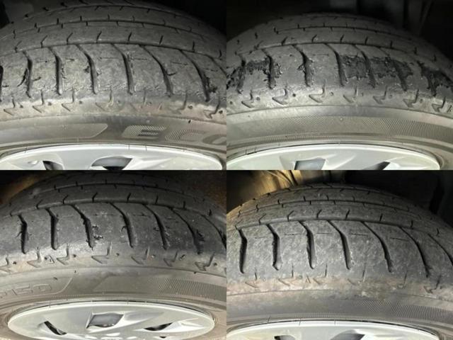 �u���̎Ԃ̎ʐ^�������ƌ������v�u��Ԃ��C�ɂȂ�v�u���̑����͂��Ă���H�v�ǂ�ȏ����ȋ^��ł����C�y�ɂ��₢���킹���������I