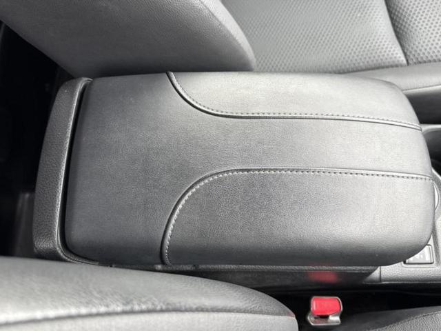 �u���̎Ԃ̎ʐ^�������ƌ������v�u��Ԃ��C�ɂȂ�v�u���̑����͂��Ă���H�v�ǂ�ȏ����ȋ^��ł����C�y�ɂ��₢���킹���������I