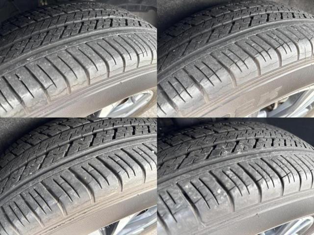 �u���̎Ԃ̎ʐ^�������ƌ������v�u��Ԃ��C�ɂȂ�v�u���̑����͂��Ă���H�v�ǂ�ȏ����ȋ^��ł����C�y�ɂ��₢���킹���������I