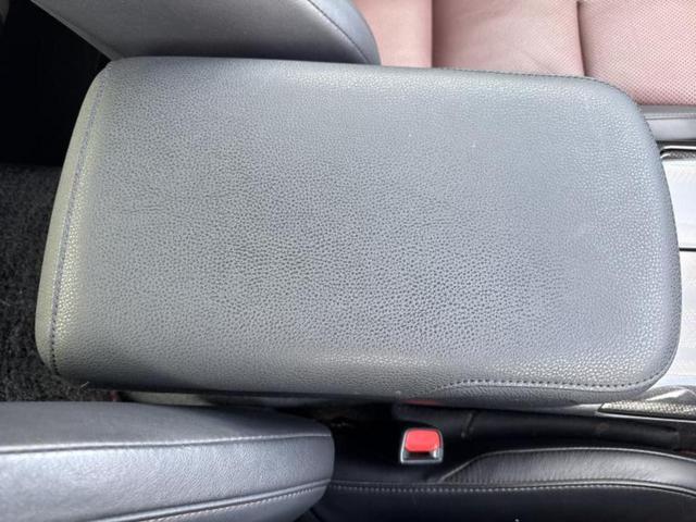 �u���̎Ԃ̎ʐ^�������ƌ������v�u��Ԃ��C�ɂȂ�v�u���̑����͂��Ă���H�v�ǂ�ȏ����ȋ^��ł����C�y�ɂ��₢���킹���������I