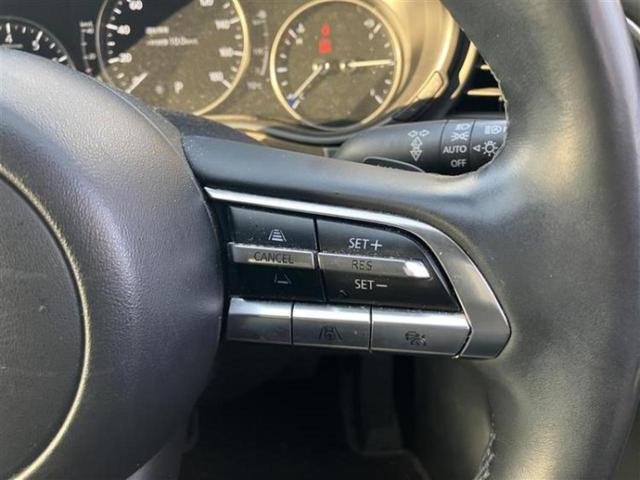 ���Y�Ԃ���A���Ԃ܂ő��l�Ȃ��q�l�̃j�[�Y�̂������ł���悤�ɁA�S���K�͂ŖL�x�ȍ݌ɓW�J�I�Ԃ̂��ƂȂ�v�d�b�`�q�r�ցI