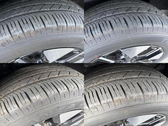 �u���̎Ԃ̎ʐ^�������ƌ������v�u��Ԃ��C�ɂȂ�v�u���̑����͂��Ă���H�v�ǂ�ȏ����ȋ^��ł����C�y�ɂ��₢���킹���������I