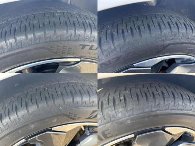 �u���̎Ԃ̎ʐ^�������ƌ������v�u��Ԃ��C�ɂȂ�v�u���̑����͂��Ă���H�v�ǂ�ȏ����ȋ^��ł����C�y�ɂ��₢���킹���������I