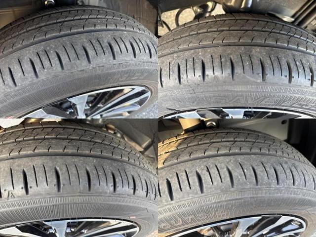 �u���̎Ԃ̎ʐ^�������ƌ������v�u��Ԃ��C�ɂȂ�v�u���̑����͂��Ă���H�v�ǂ�ȏ����ȋ^��ł����C�y�ɂ��₢���킹���������I