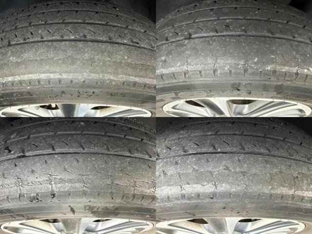 �u���̎Ԃ̎ʐ^�������ƌ������v�u��Ԃ��C�ɂȂ�v�u���̑����͂��Ă���H�v�ǂ�ȏ����ȋ^��ł����C�y�ɂ��₢���킹���������I