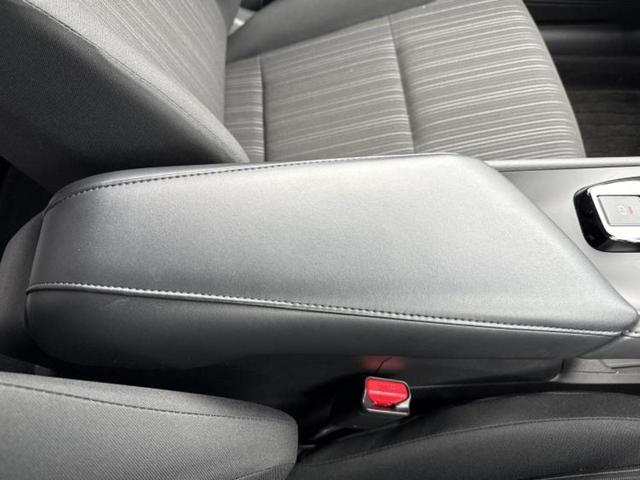 �u���̎Ԃ̎ʐ^�������ƌ������v�u��Ԃ��C�ɂȂ�v�u���̑����͂��Ă���H�v�ǂ�ȏ����ȋ^��ł����C�y�ɂ��₢���킹���������I