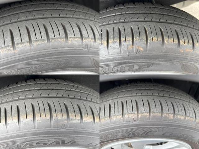 �u���̎Ԃ̎ʐ^�������ƌ������v�u��Ԃ��C�ɂȂ�v�u���̑����͂��Ă���H�v�ǂ�ȏ����ȋ^��ł����C�y�ɂ��₢���킹���������I