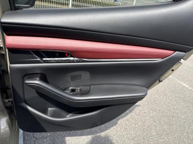 �u���̎Ԃ̎ʐ^�������ƌ������v�u��Ԃ��C�ɂȂ�v�u���̑����͂��Ă���H�v�ǂ�ȏ����ȋ^��ł����C�y�ɂ��₢���킹���������I