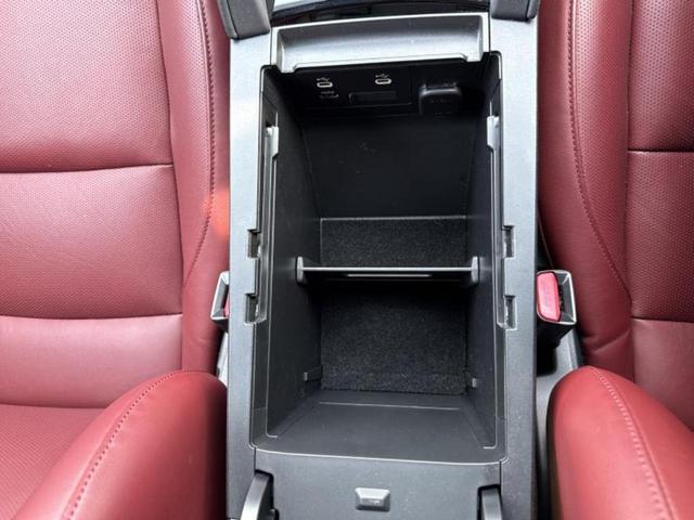 �u���̎Ԃ̎ʐ^�������ƌ������v�u��Ԃ��C�ɂȂ�v�u���̑����͂��Ă���H�v�ǂ�ȏ����ȋ^��ł����C�y�ɂ��₢���킹���������I