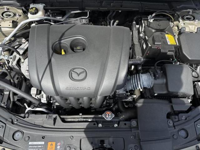 �S���ɓX�܂�W�J���Ă���̂łǂ��ł������񂹂��\�ł��I���̎Ԃ��C�ɂȂ邯�ǉ���������E�E�E�ƒ��߂�K�v�͂���܂���I���ʓr������K�v�ł��B