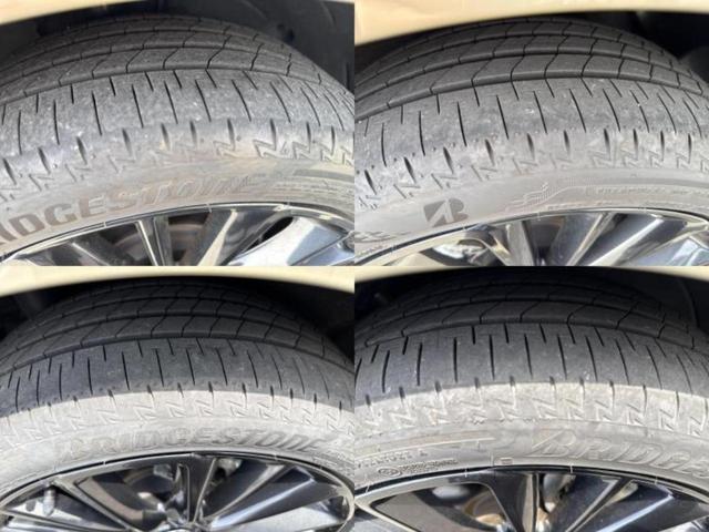 �u���̎Ԃ̎ʐ^�������ƌ������v�u��Ԃ��C�ɂȂ�v�u���̑����͂��Ă���H�v�ǂ�ȏ����ȋ^��ł����C�y�ɂ��₢���킹���������I