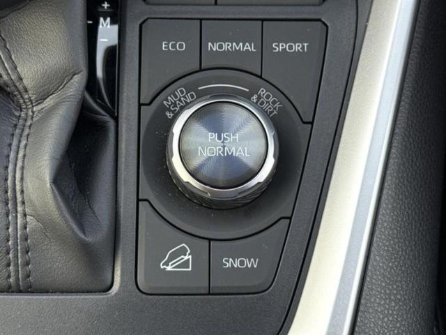 RAV4 4WD G Zパッケージ 純正エアロ/保証書/純正 10インチ SDナビ/トヨタセーフティセンス/シートヒーター/パノラミックビューモニター/車線逸脱防止支援システム/シート 合皮/電動バックドア/ヘッドランプ LED 4WD(29枚目)