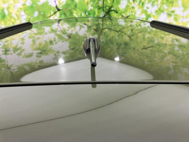 タフト Ｇターボ　ガラスルーフ／保証書／社外　ＳＤナビ／スマートアシスト（トヨタ・ダイハツ）／シートヒーター　前席／車線逸脱防止支援システム／ヘッドランプ　ＬＥＤ／ＥＢＤ付ＡＢＳ／横滑り防止装置　衝突被害軽減システム（46枚目）