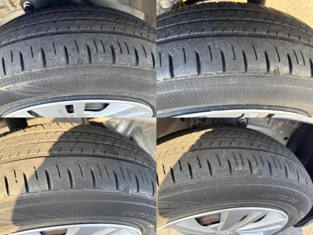 �u���̎Ԃ̎ʐ^�������ƌ������v�u��Ԃ��C�ɂȂ�v�u���̑����͂��Ă���H�v�ǂ�ȏ����ȋ^��ł����C�y�ɂ��₢���킹���������I