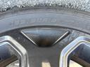 ＷＥＣＡＲＳではほぼ毎日新しい在庫車両を入荷しております！お客様のこだわりを叶える１台がきっとＷＥＣＡＲＳにあるはずです！