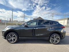 �ףţã��ңӤκ߸˥ڡ������������������ˤ��꤬�Ȥ��������ޤ����ףţã��ңӤϡ֤��������פ��åȡ��ˤ����ͤΥ����饤�դ����Ϥǥ��ݡ��Ȥ������ޤ��� 2