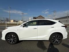 �ףţã��ңӤκ߸˥ڡ������������������ˤ��꤬�Ȥ��������ޤ����ףţã��ңӤϡ֤��������פ��åȡ��ˤ����ͤΥ����饤�դ����Ϥǥ��ݡ��Ȥ������ޤ��� 2