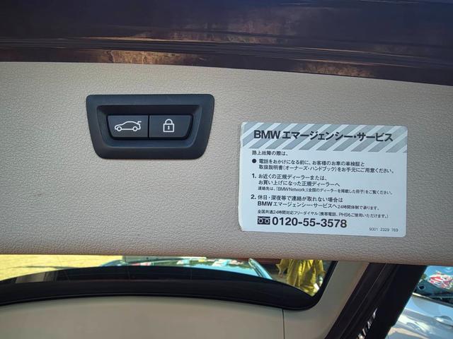 �[�Ԍ���C�����悭����蒸���܂��I�I