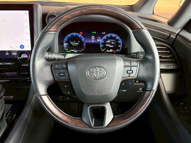 アルファードハイブリッド Ｚ　ワンオーナー　純正ナビＴＶ全方位カメラ　後席モニター　デジタルインナーミラー　左右独立ムーンルーフ　　ヴェルファイアハイブリッドＺプレミア用１９インチＡＷ　スペアタイヤ　アンビエントライト（47枚目）