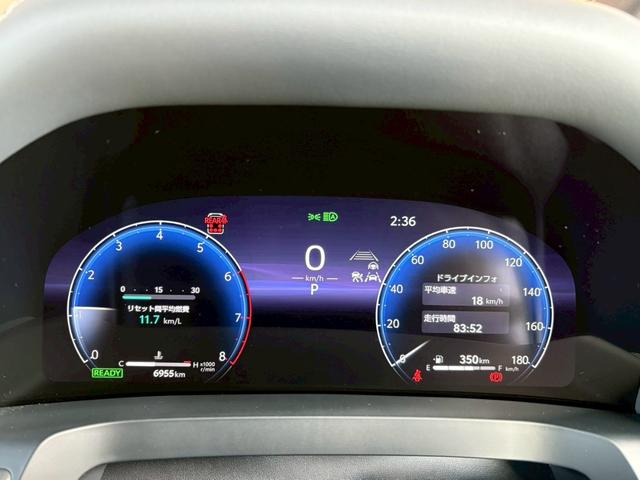 アルファードハイブリッド Ｚ　ワンオーナー　純正ナビＴＶ全方位カメラ　後席モニター　デジタルインナーミラー　左右独立ムーンルーフ　　ヴェルファイアハイブリッドＺプレミア用１９インチＡＷ　スペアタイヤ　アンビエントライト（48枚目）
