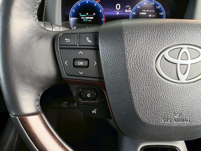 アルファードハイブリッド Ｚ　ワンオーナー　純正ナビＴＶ全方位カメラ　後席モニター　デジタルインナーミラー　左右独立ムーンルーフ　　ヴェルファイアハイブリッドＺプレミア用１９インチＡＷ　スペアタイヤ　アンビエントライト（49枚目）