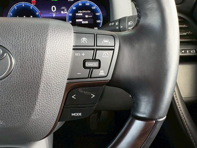 アルファードハイブリッド Ｚ　ワンオーナー　純正ナビＴＶ全方位カメラ　後席モニター　デジタルインナーミラー　左右独立ムーンルーフ　　ヴェルファイアハイブリッドＺプレミア用１９インチＡＷ　スペアタイヤ　アンビエントライト（50枚目）