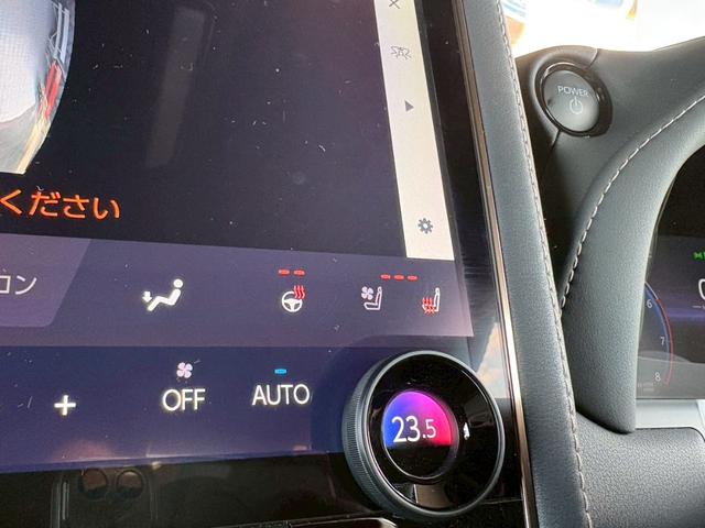 アルファードハイブリッド Ｚ　ワンオーナー　純正ナビＴＶ全方位カメラ　後席モニター　デジタルインナーミラー　左右独立ムーンルーフ　　ヴェルファイアハイブリッドＺプレミア用１９インチＡＷ　スペアタイヤ　アンビエントライト（64枚目）