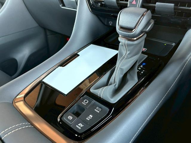 アルファードハイブリッド Ｚ　ワンオーナー　純正ナビＴＶ全方位カメラ　後席モニター　デジタルインナーミラー　左右独立ムーンルーフ　　ヴェルファイアハイブリッドＺプレミア用１９インチＡＷ　スペアタイヤ　アンビエントライト（66枚目）