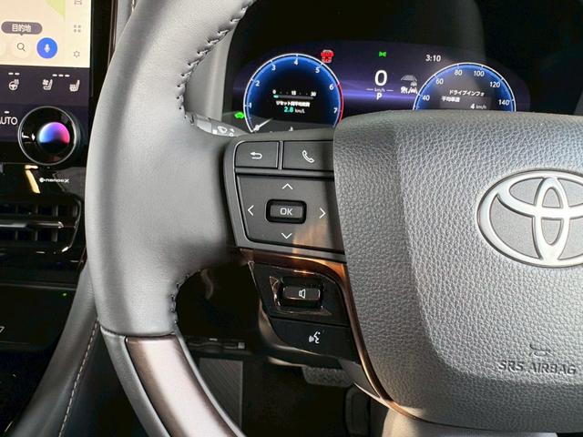 アルファードハイブリッド Ｚ　登録済未使用車　ＮＥＷ’Ｓコンプリート　ＮＥＷ’Ｓフルエアロ　車高調　ＲＡＹＳホムラ２１インチＡＷ　純正ナビＴＶ　全方位カメラ　フリップダウンモニター　アルパインリフトアップスピーカー　サンルーフ（54枚目）