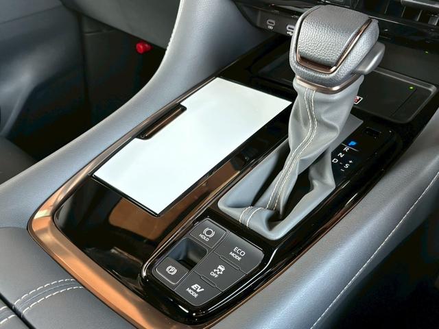 アルファードハイブリッド Ｚ　登録済未使用車　ＮＥＷ’Ｓコンプリート　ＮＥＷ’Ｓフルエアロ　車高調　ＲＡＹＳホムラ２１インチＡＷ　純正ナビＴＶ　全方位カメラ　フリップダウンモニター　アルパインリフトアップスピーカー　サンルーフ（69枚目）