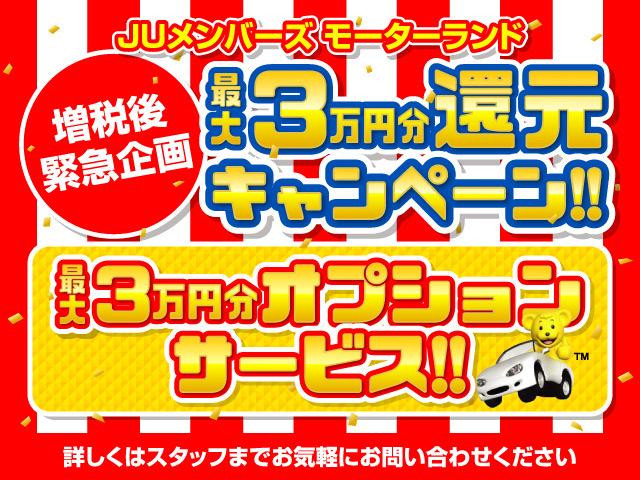 GT1オ-ナ-地デジナビBカメラインテリキーETCアルミ禁煙(2枚目)