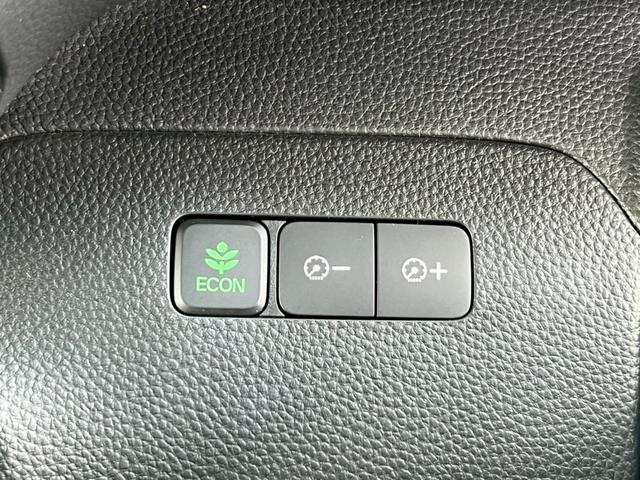 Ｎ－ＢＯＸカスタム Ｇ・Ｌホンダセンシング　両側電動スライドドア　シートヒーター　ＬＥＤヘッドランプ　電動格納ミラー　クルーズコントロール　ＡＢＳ　ＥＴＣ　スマートキー　ＵＳＢ入力端子　オートライト　バックカメラ　アイドリングストップ（61枚目）