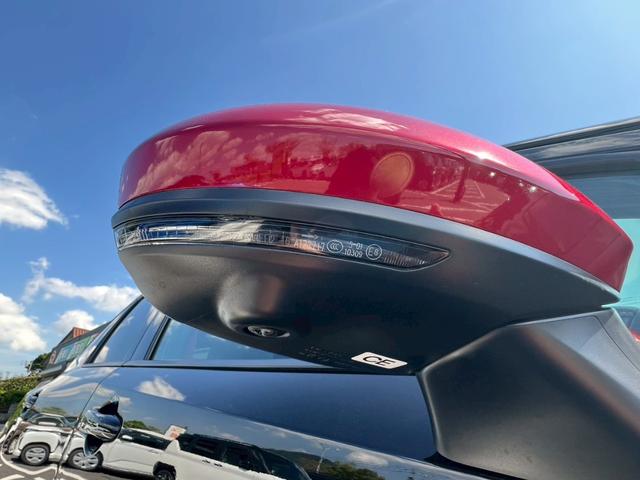 オーラ ニスモ　全周囲カメラ　禁煙車　ドラレコ　レーダークルーズコントロール　ＬＥＤヘッドランプ　フロントフォグランプ　デジタルルームミラー　電動パーキングブレーキ　オートライト　ＥＴＣ　ブラインドスポットモニター（18枚目）