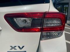 ����⡦�����۾����ʥ������顢���ˤʤ���ߤޤǡ��᤯���¤������쥤�٤ˤ�ľ�����ޤ���������ĺ�����֡����֤γ������ѡ��Ĥ���ʬŪ�˥��ꥸ�ʥ��������뤳�Ȥ��ǽ�Ǥ��� 7