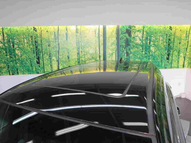 プレミアム 後期型 10型BIG-X ムーンルーフ 後席モニター セーフティセンス シーケンシャルLEDヘッド クリアランスソナー フロント・サイド・バックカメラ 電動リアゲート 純正18アルミ(49枚目)