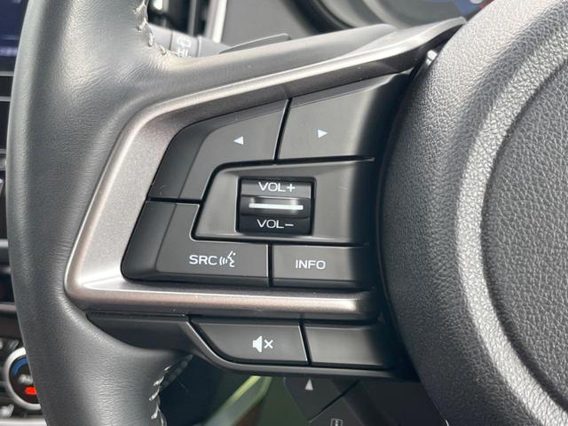 フォレスター アドバンス　純正８型ナビ　バックカメラ　アイサイトセイフティプラス　レーダークルーズ　禁煙車　パワーバックドア　革シート　全席シートヒーター　パワーシート　ドラレコ　コーナーセンサー　レーンキープ　スマートキー（53枚目）