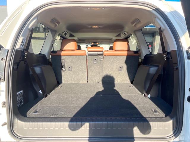 ランドクルーザープラド TX Lパッケージ 70thアニバーサリーリミテッド 7人乗 サンルーフ 純正9型SDナビ バックカメラ トヨタセーフティセンス レーダークルーズ 禁煙車 茶革シート シートベンチレーション パワーシート ドラレコ コーナーセンサー LEDヘッド ETC(47枚目)