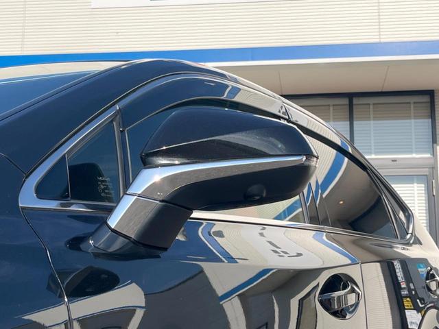 NX NX300h Fスポーツ サンルーフ 全周囲カメラ ブラインドスポットモニター 角型三眼LEDヘッドランプ カラーヘッドアップディスプレイ セーフティシステムプラス レーダークルコン 禁煙車 ハンズフリーパワーバックドア(31枚目)