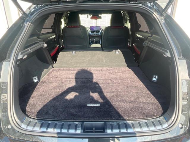 NX NX300h Fスポーツ サンルーフ 全周囲カメラ ブラインドスポットモニター 角型三眼LEDヘッドランプ カラーヘッドアップディスプレイ セーフティシステムプラス レーダークルコン 禁煙車 ハンズフリーパワーバックドア(46枚目)