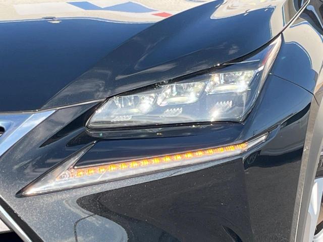 ＮＸ ＮＸ３００ｈ　バージョンＬ　サイド・バックカメラ　衝突被害軽減システム　禁煙車　電動リアゲート　レザーシート　前席シートエアコン　全席パワーシート　ドラレコ　コーナーセンサー　スマートキー　ＬＥＤヘッド　ビルトインＥＴＣ（13枚目）