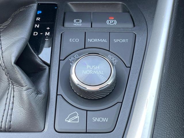 RAV4 G Zパッケージ パノラマルーフ モデリスタエアロ 全周囲カメラ ナビ機能付き9型ディスプレイオーディオ セーフティセンス レーダークルーズ 禁煙車 ハンズフリーパワーバックドア パワーシート LEDヘッド ETC(51枚目)