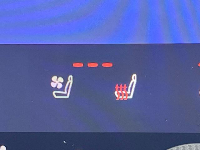 ＮＸ ＮＸ３５０ｈ　バージョンＬ　パノラマルーフ　全周囲カメラ　１００Ｖ電源　プリクラッシュセーフティ　デジタルインナーミラー　禁煙車　ハンズフリーパワーバックドア　革シート　メモリー付パワーシート　シートベンチレーション（36枚目）